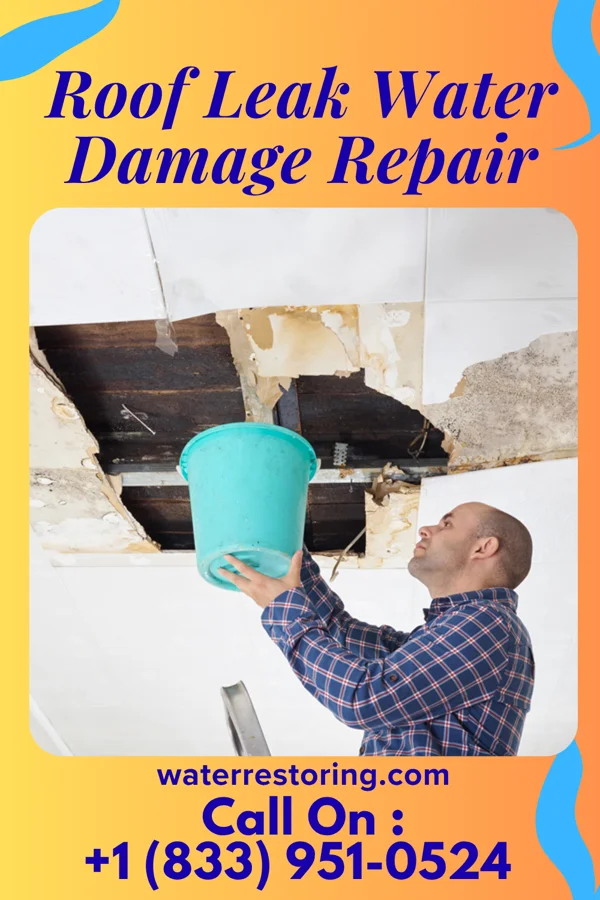 Roof Leak Water Damage Repair in Gregory, SD